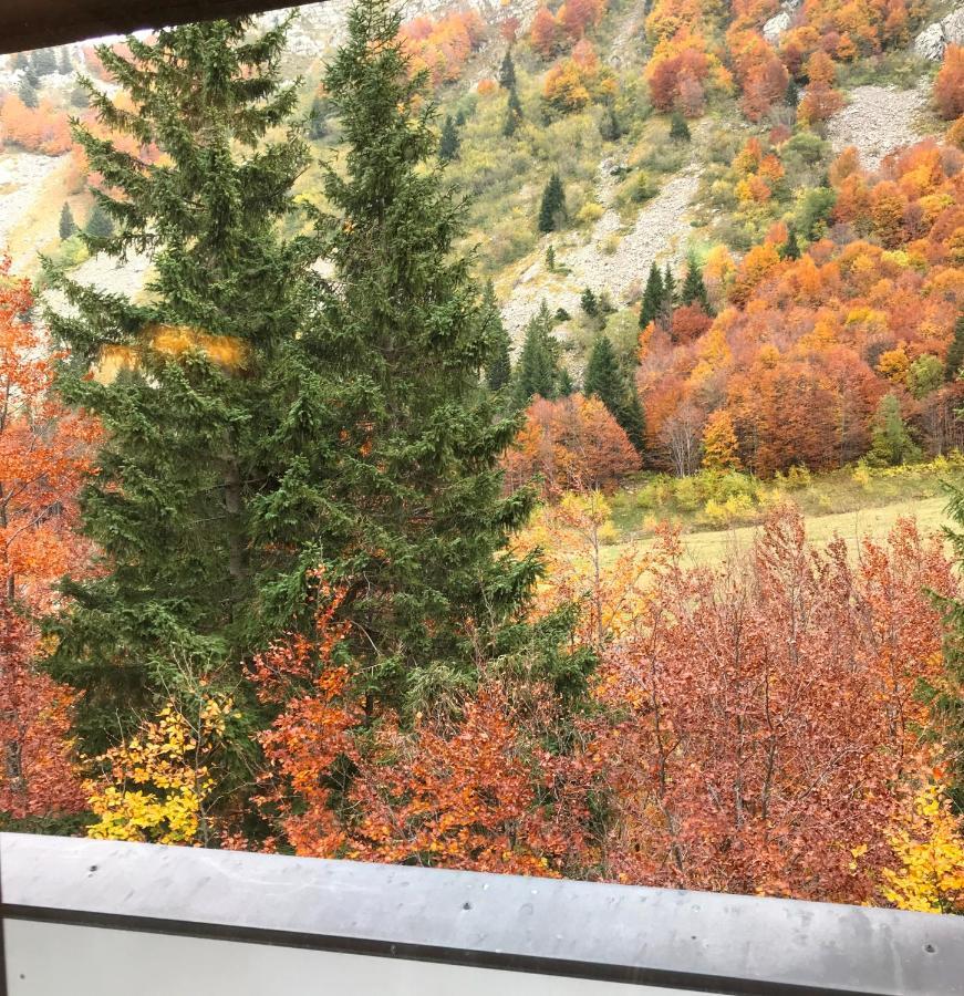 Val Di Luce - Delizioso Appartamento 6 Posti Letto - Accesso Diretto Alle Piste Da Sci Abetone Buitenkant foto