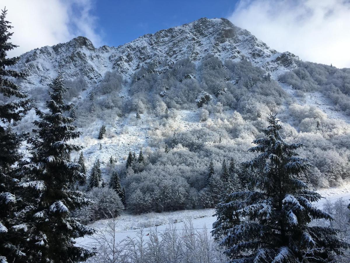 Val Di Luce - Delizioso Appartamento 6 Posti Letto - Accesso Diretto Alle Piste Da Sci Abetone Buitenkant foto